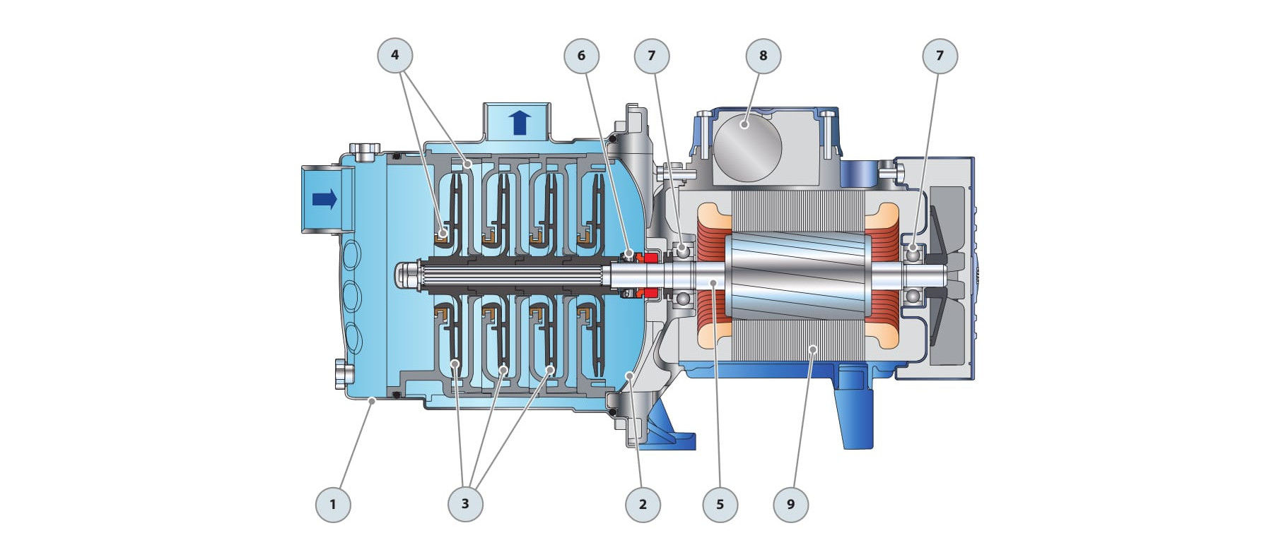 Pompa electrica centrifuga cu mai multe etape Pedrollo 5CRm100