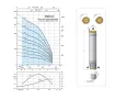 Погружной насос с двигателем CALPEDA TRI.4SDP 8/32C