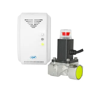 Echipament detecție PNI 200 gaz + clapeta 3/4