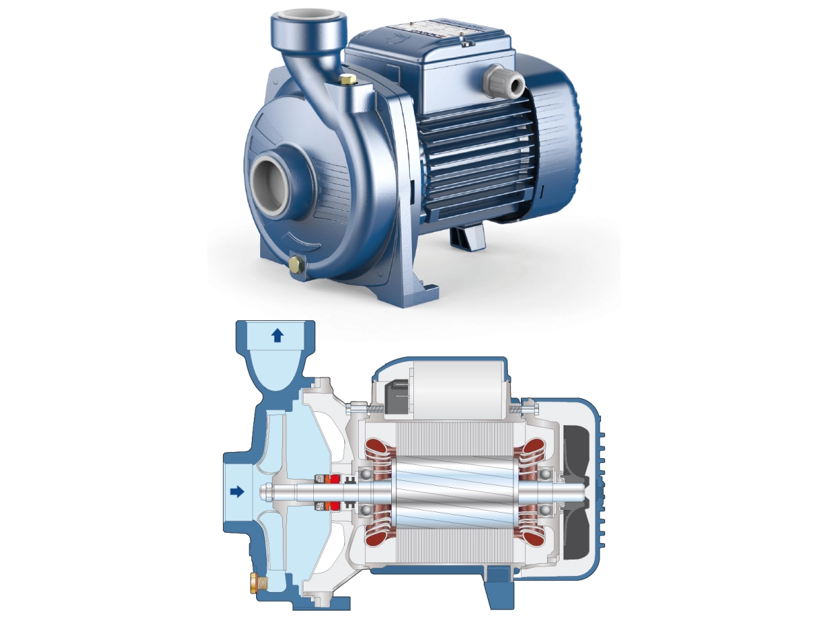 Pompa de apa cu rotor deschis Pedrollo NGAm1A