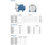 Pompa electrica centrifuga Pedrollo CPm158-ST6 (AISI 316)