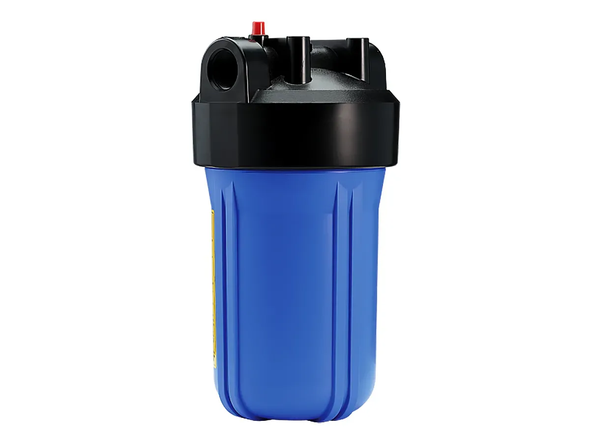 Filtru de curatare mecanica BB20 ECOSOFT, 1"